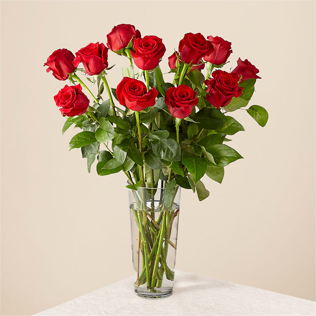Long Stem Red Rose Bouquet – Garden Of Eden Florist, San Antonio TX