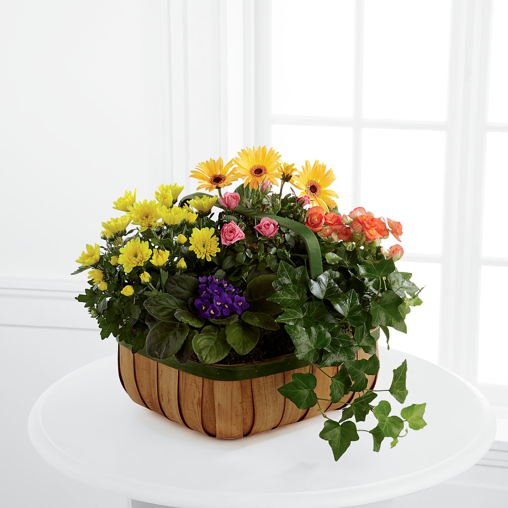 Gentle Blossoms Basket – Garden Of Eden Florist, San Antonio TX