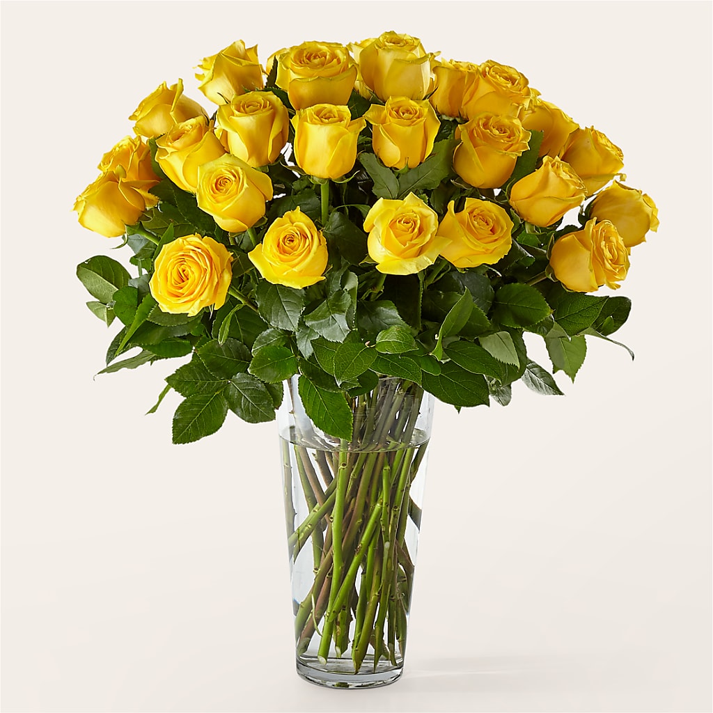 Long Stem Yellow Rose Bouquet – Garden Of Eden Florist, San Antonio TX