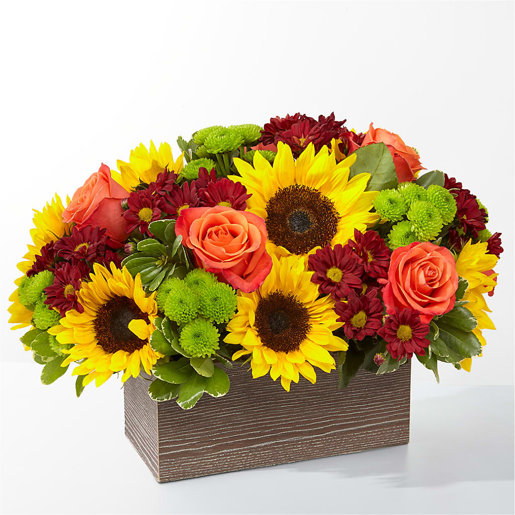 Happy Harvest Garden – Garden Of Eden Florist, San Antonio TX