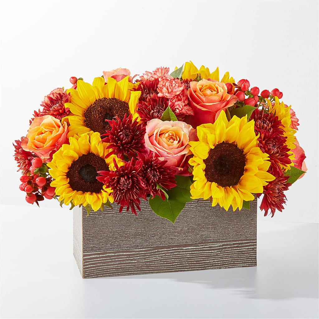 Fresh Cider Bouquet – Garden Of Eden Florist, San Antonio TX