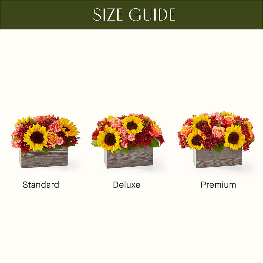 Fresh Cider Bouquet – Garden Of Eden Florist, San Antonio TX