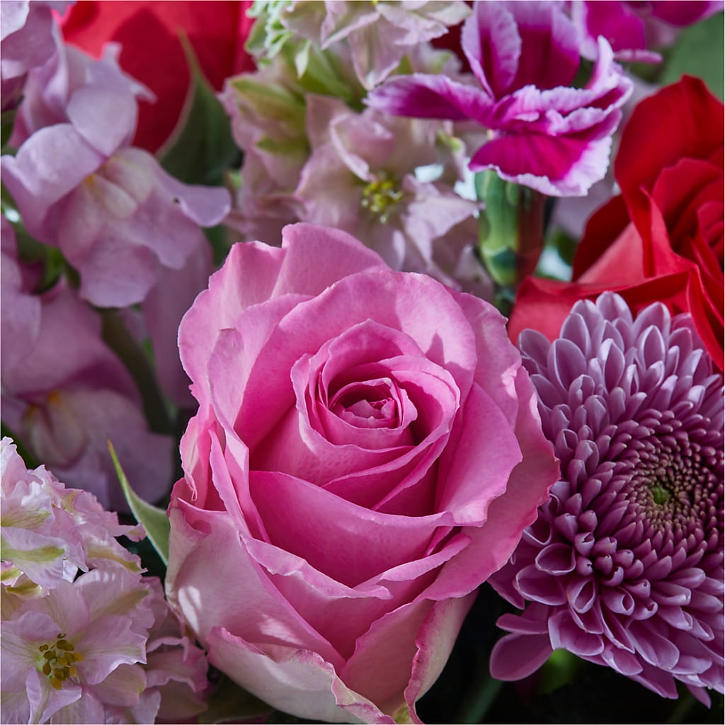 Better Together - A Luxury Florist Original – Garden Of Eden Florist, San Antonio TX