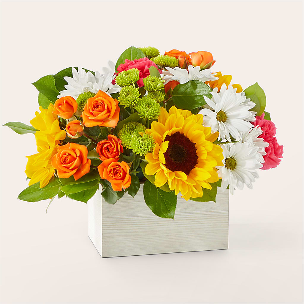 Sun-drenched Blooms Box Bouquet – Garden Of Eden Florist, San Antonio TX