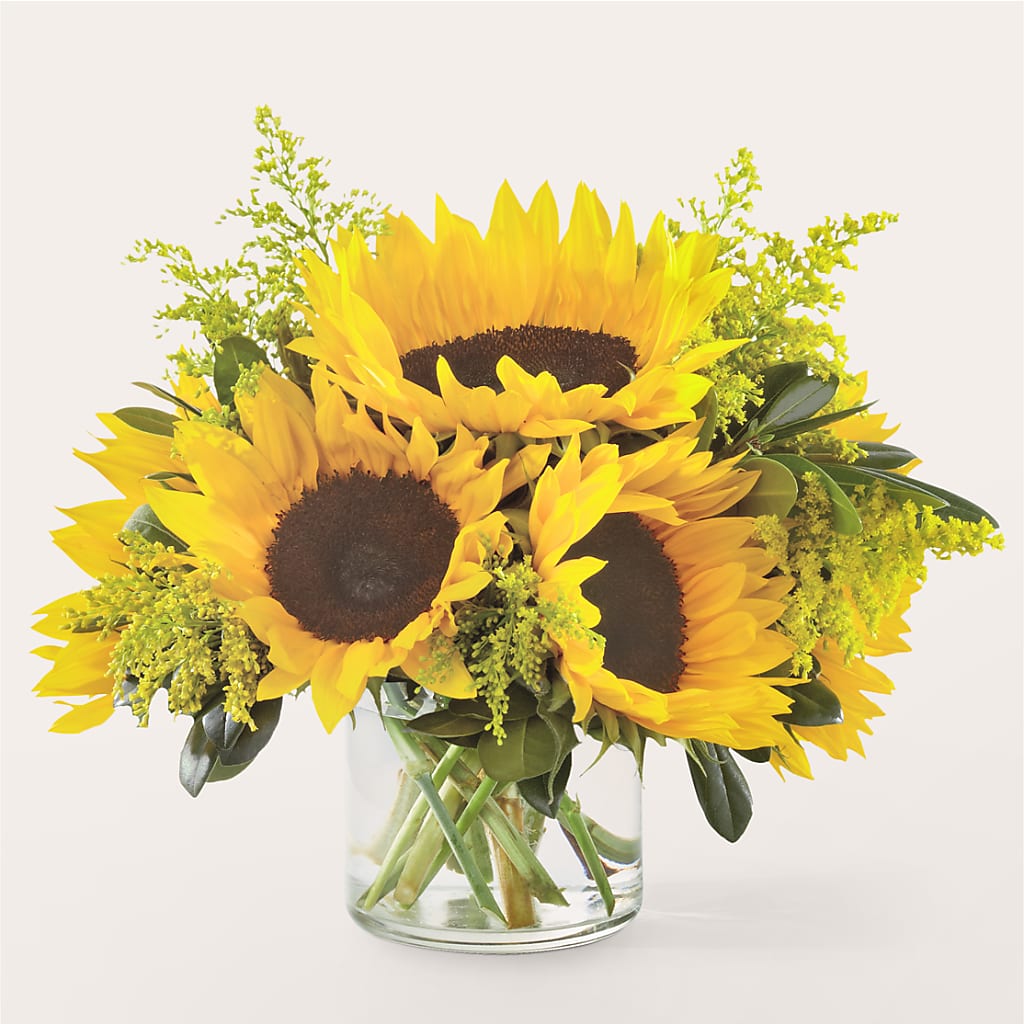 Beaming Sunflower Bouquet – Garden Of Eden Florist, San Antonio TX