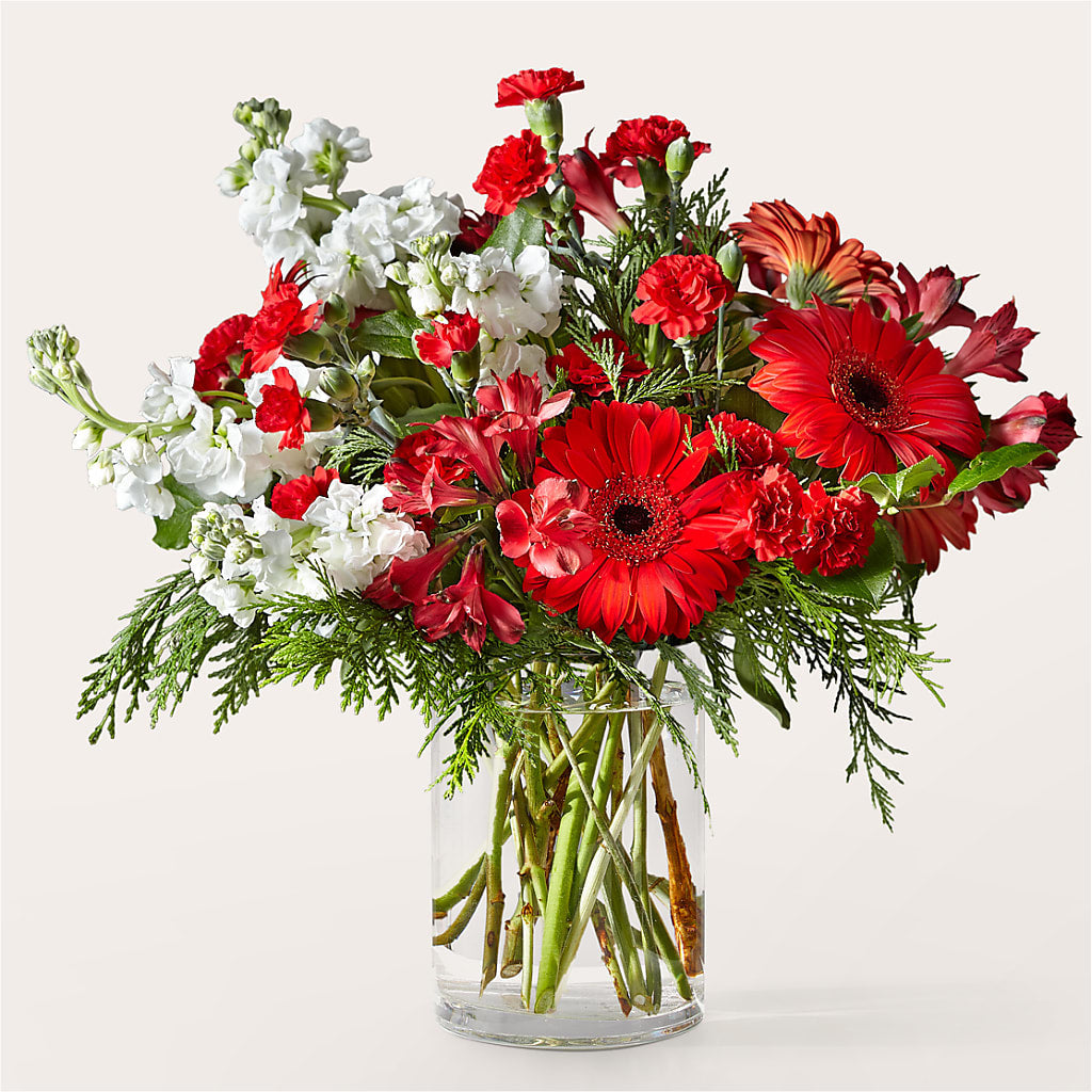 Holidaisy Bouquet – Garden Of Eden Florist, San Antonio TX