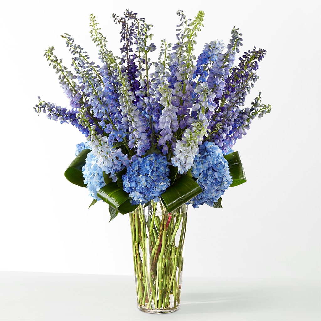 The Editorial – Garden Of Eden Florist, San Antonio TX