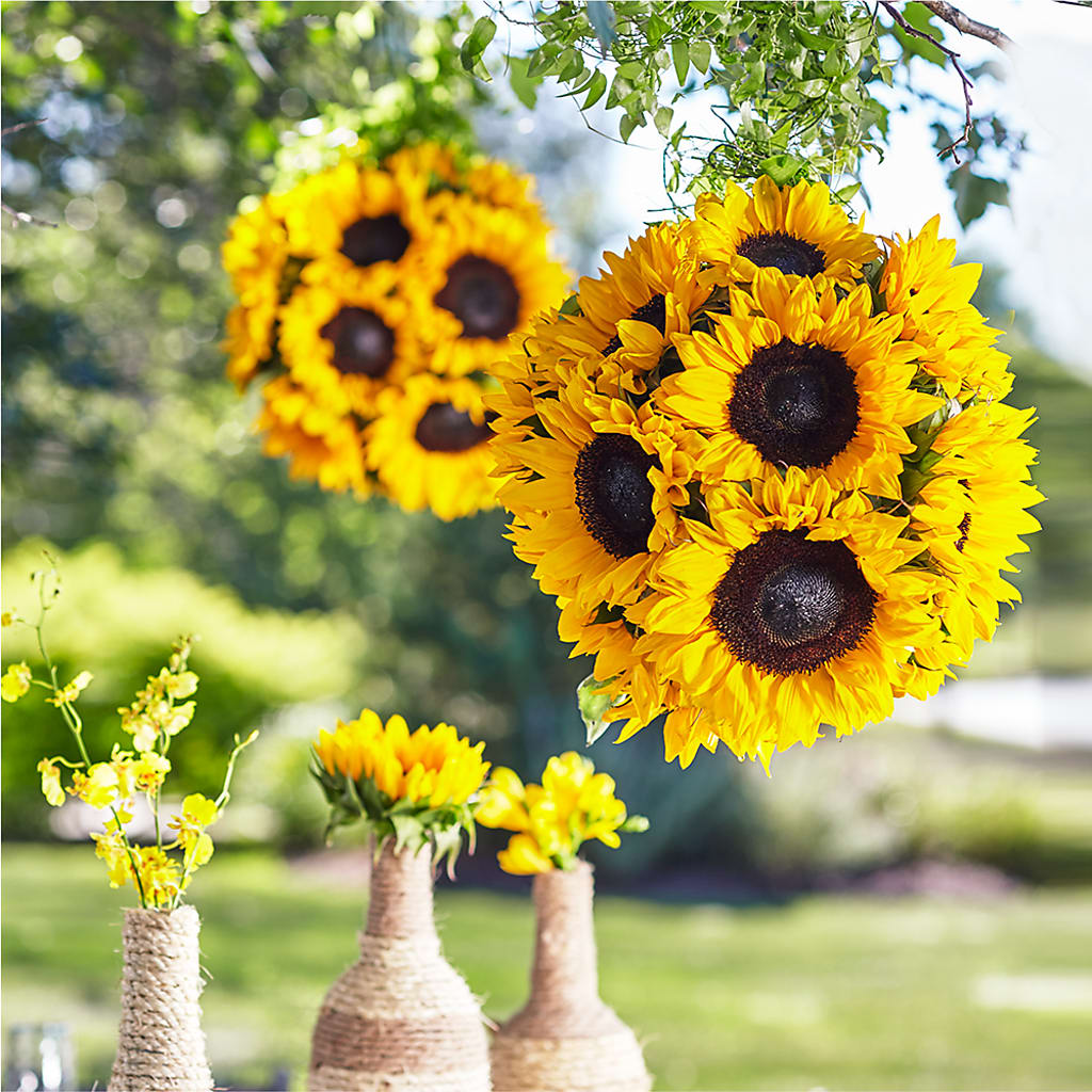 Sublime Garden Hanging Arrangement – Garden Of Eden Florist, San Antonio TX