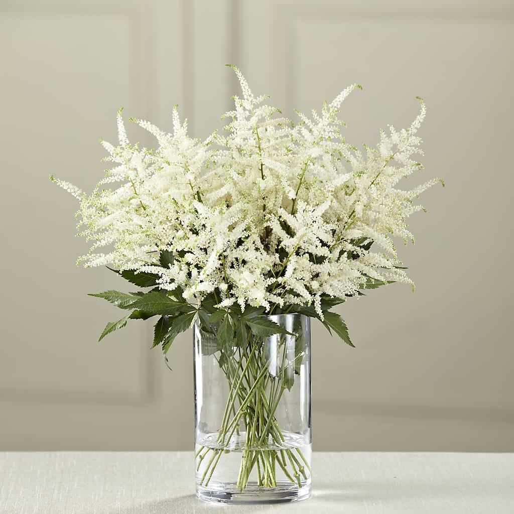 White Astilbe Bouquet – Garden Of Eden Florist, San Antonio TX