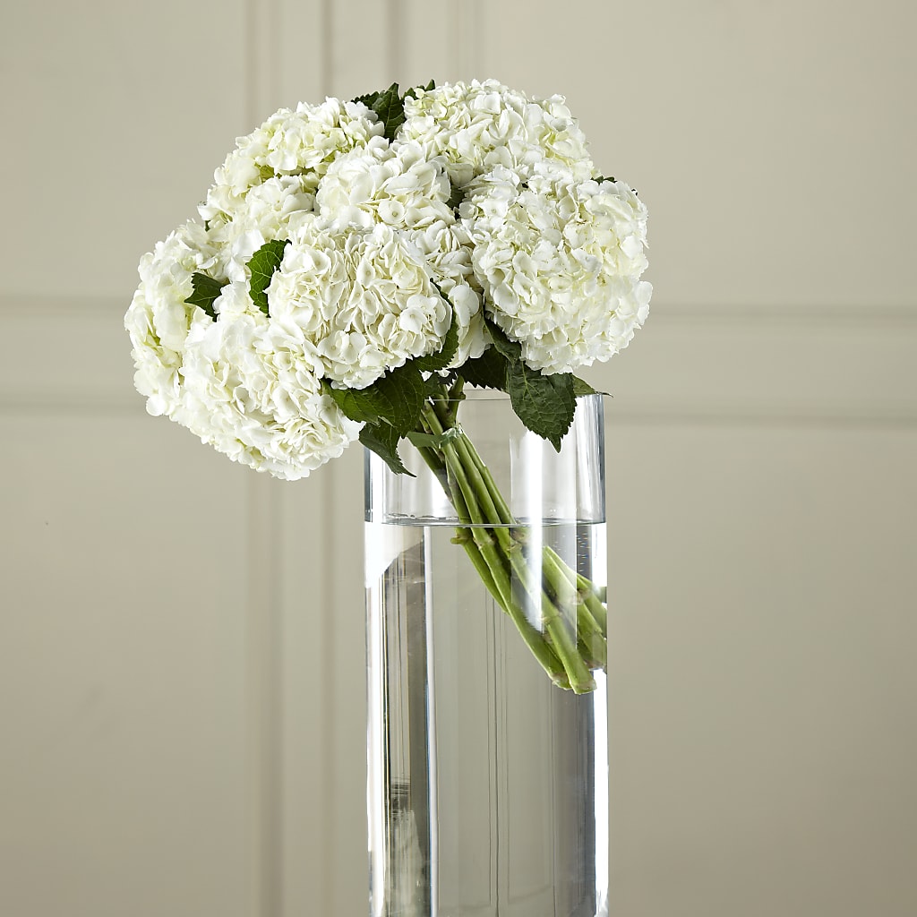 White Hydrangea Hand-Tied Bouquet – Garden Of Eden Florist, San Antonio TX