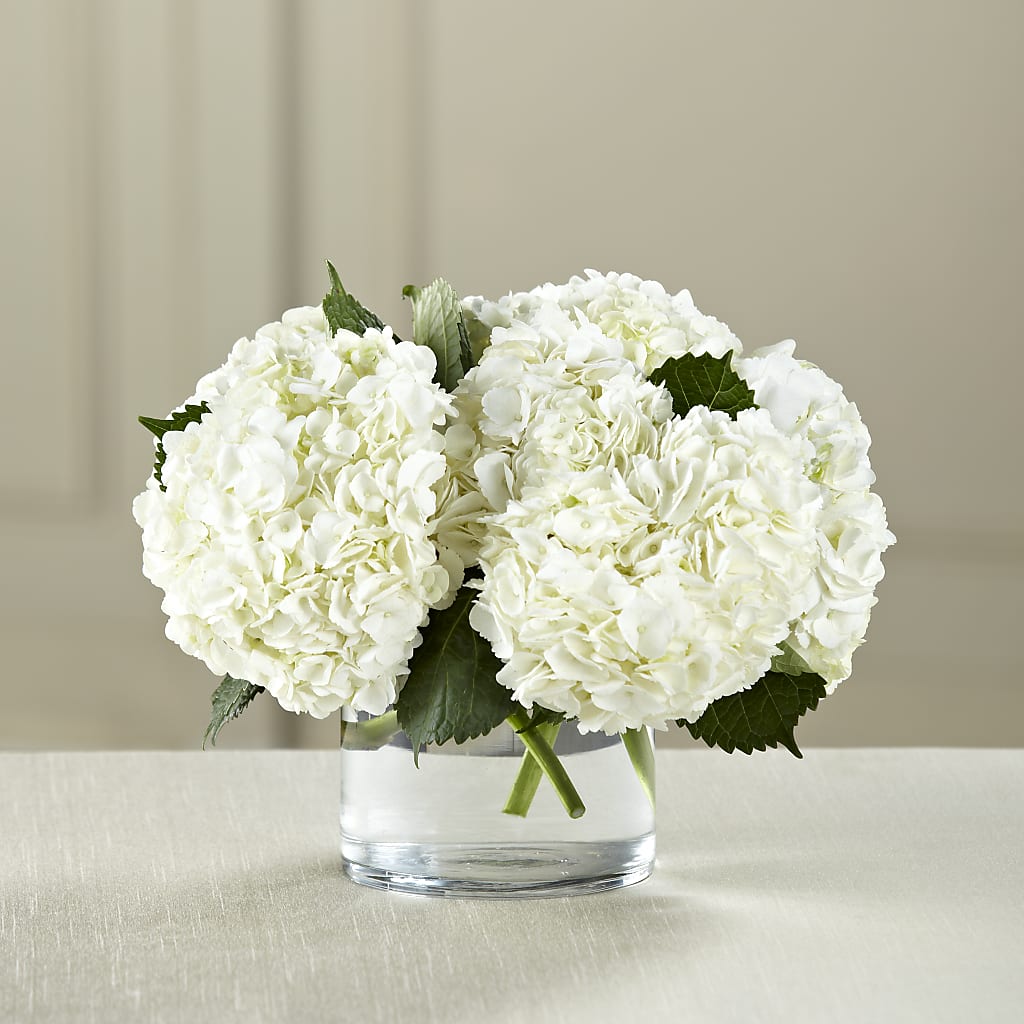 White Hydrangea Bouquet – Garden Of Eden Florist, San Antonio TX