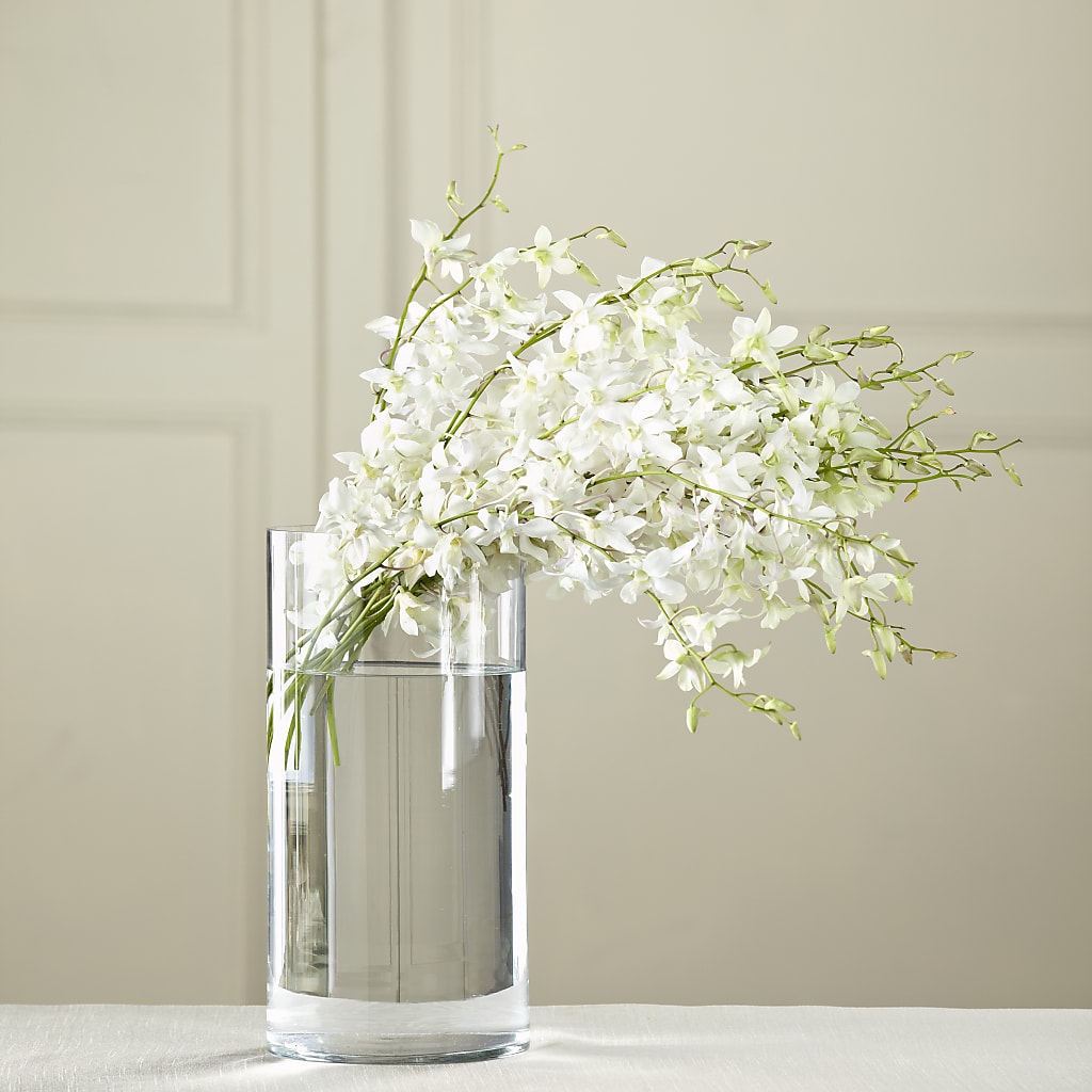 White Dendrobium Bouquet – Garden Of Eden Florist, San Antonio TX