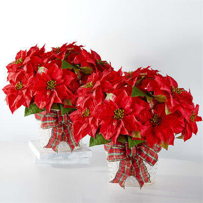 Happiest Holidays Poinsettia Bundle –  Garden Of Eden Florist, San Antonio TX