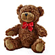 Adorable Plush Bear –  Garden Of Eden Florist, San Antonio TX