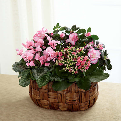 Pink Assortment –  Garden Of Eden Florist, San Antonio TX