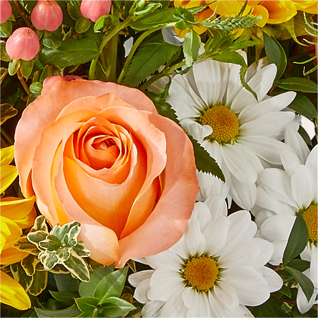 The Good Life Bouquet –  Garden Of Eden Florist, San Antonio TX