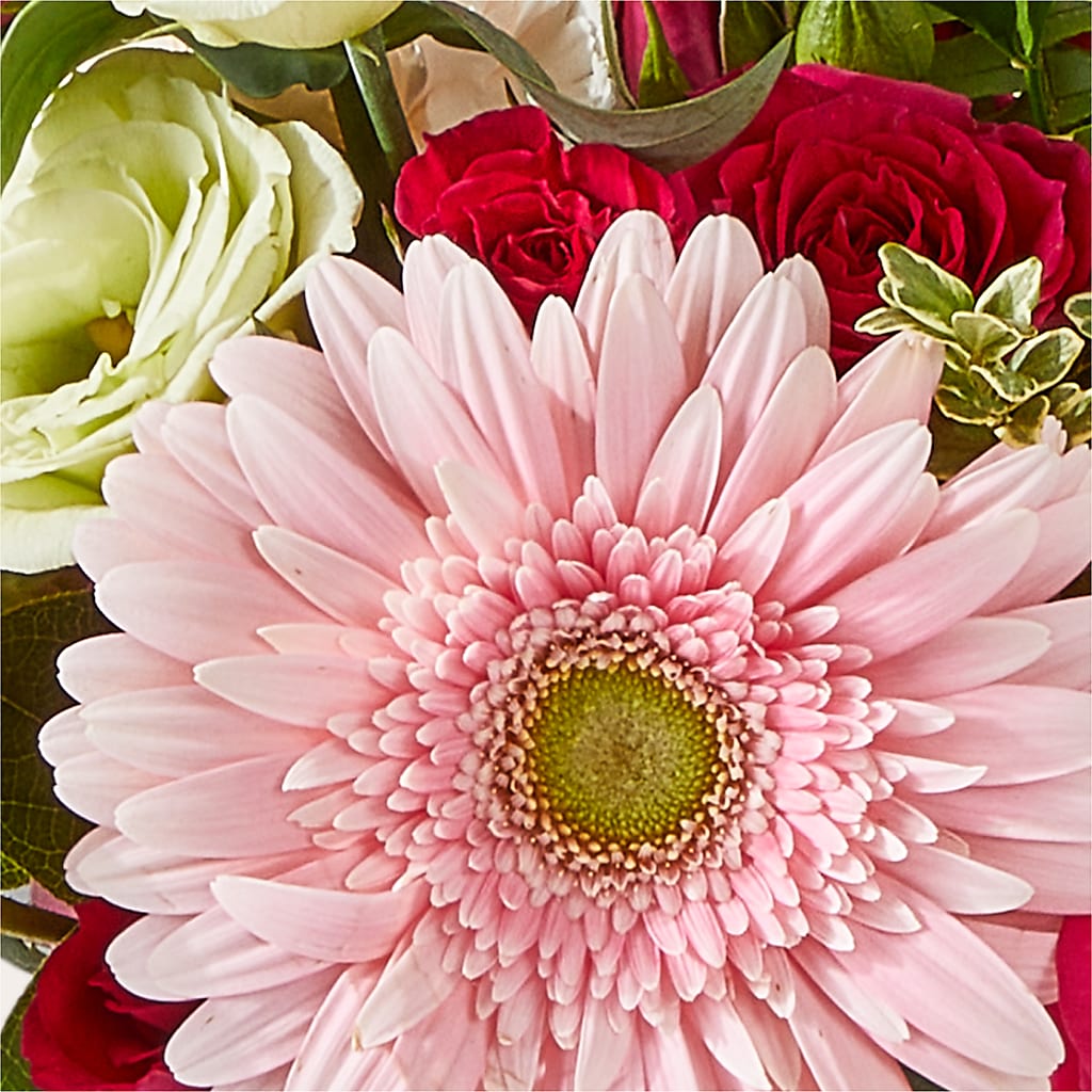 Too Cute Bouquet –  Garden Of Eden Florist, San Antonio TX