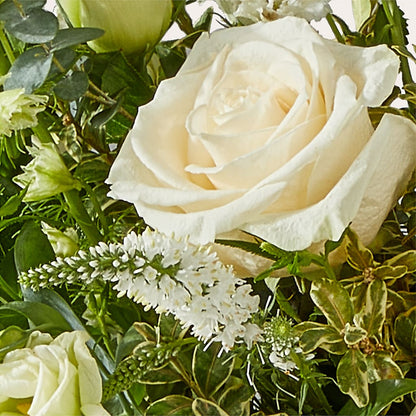 Cashmere Bouquet –  Garden Of Eden Florist, San Antonio TX