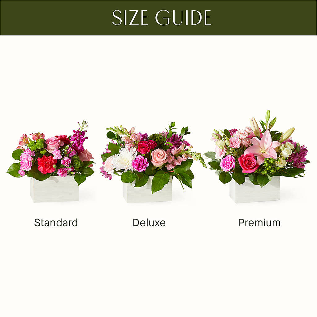 Sweetberry Box – A Florist Original –  Garden Of Eden Florist, San Antonio TX