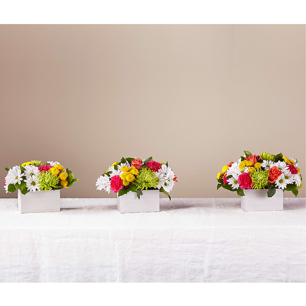 Sorbet Bouquet –  Garden Of Eden Florist, San Antonio TX