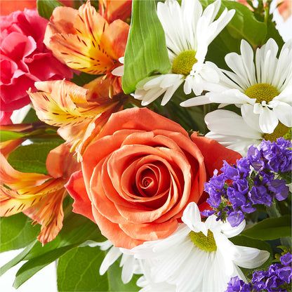 Oopsie Daisy Box Bouquet –  Garden Of Eden Florist, San Antonio TX
