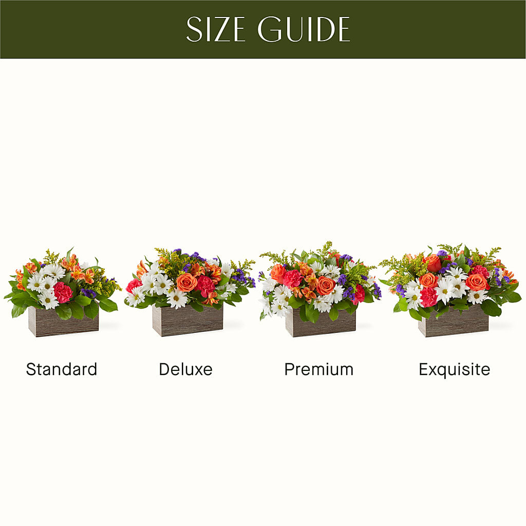 Oopsie Daisy Box Bouquet –  Garden Of Eden Florist, San Antonio TX