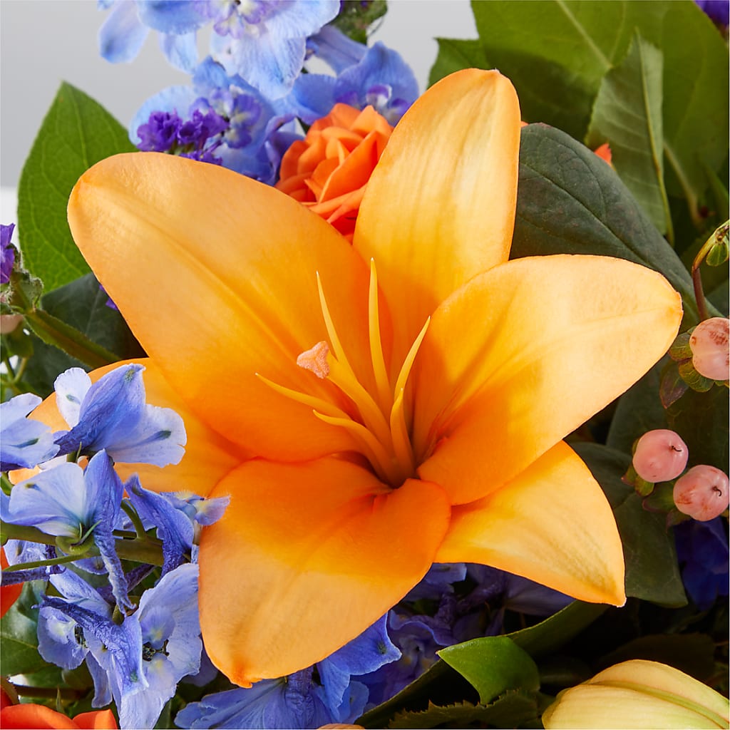 Radiant Citrus Box Bouquet –  Garden Of Eden Florist, San Antonio TX