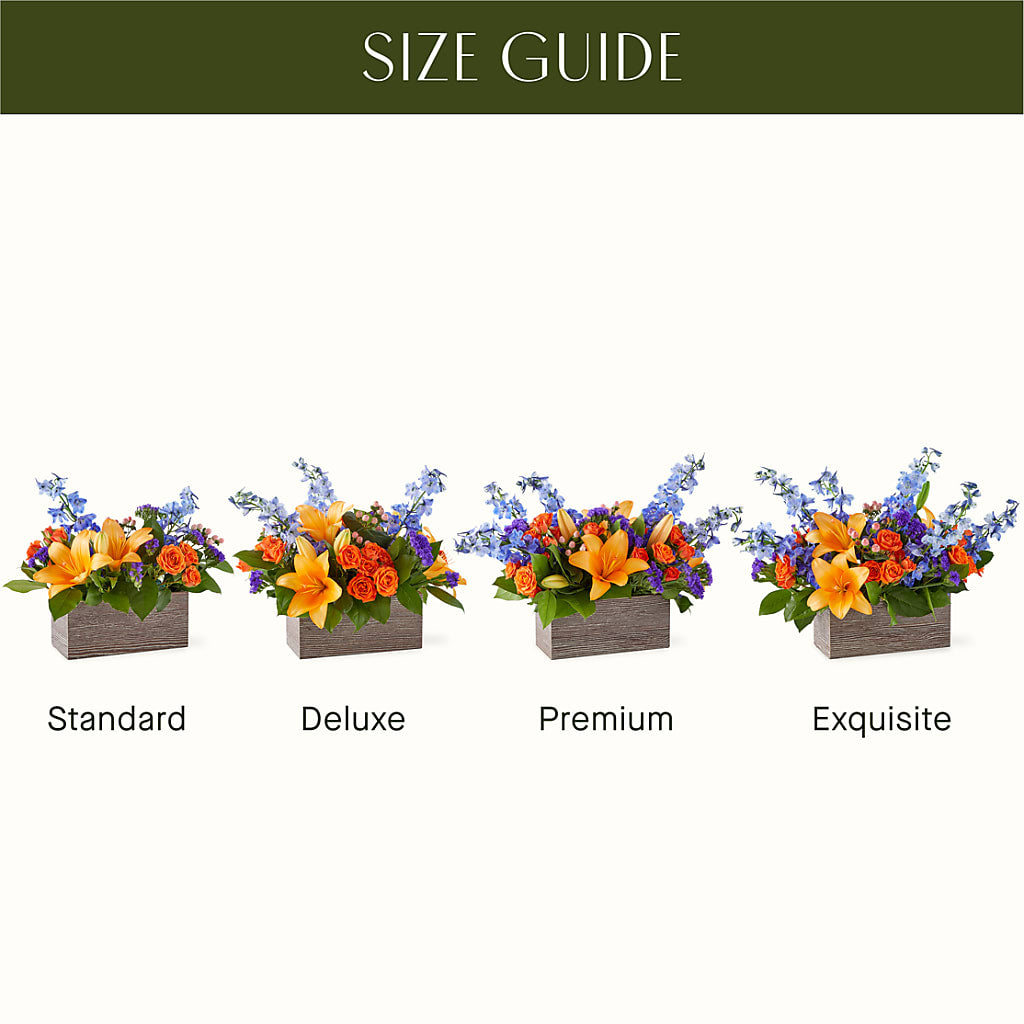 Radiant Citrus Box Bouquet –  Garden Of Eden Florist, San Antonio TX