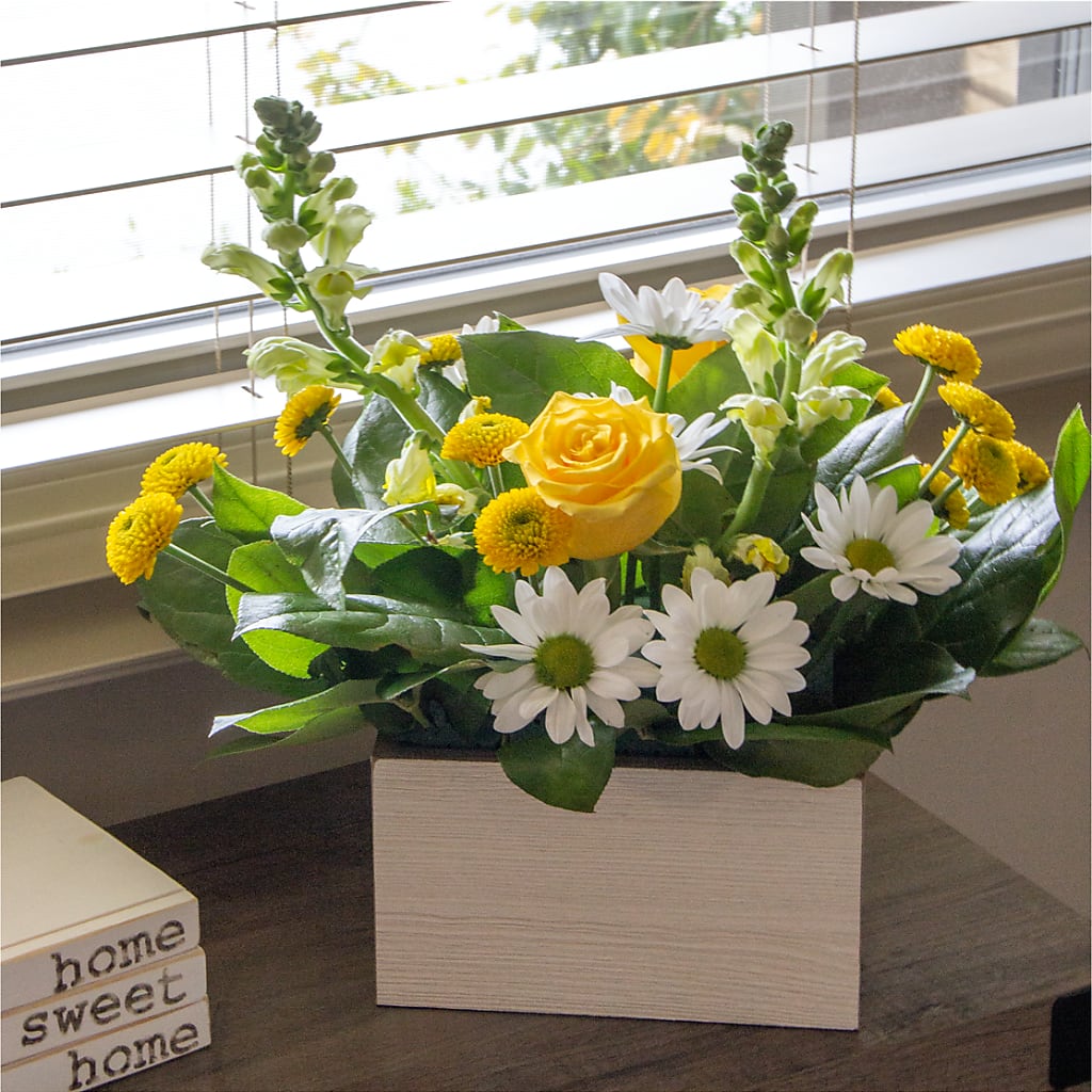 Sun Salutation Box Bouquet –  Garden Of Eden Florist, San Antonio TX