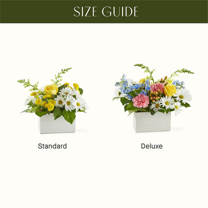 Sun Salutation Box Bouquet –  Garden Of Eden Florist, San Antonio TX