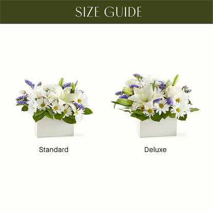 Beyond Blue Box Bouquet –  Garden Of Eden Florist, San Antonio TX