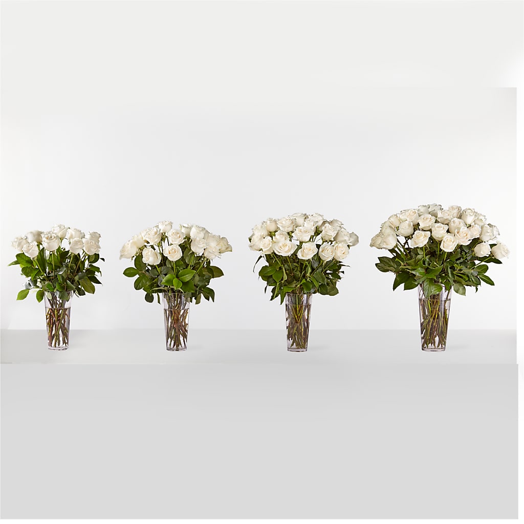 Long Stem White Rose Bouquet –  Garden Of Eden Florist, San Antonio TX
