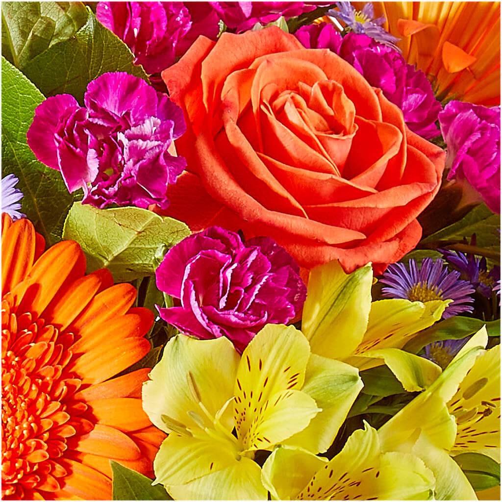 Tricks & Treats Pumpkin –  Garden Of Eden Florist, San Antonio TX