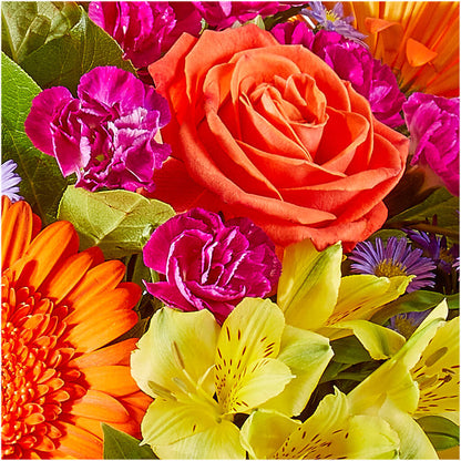 Tricks & Treats Pumpkin –  Garden Of Eden Florist, San Antonio TX