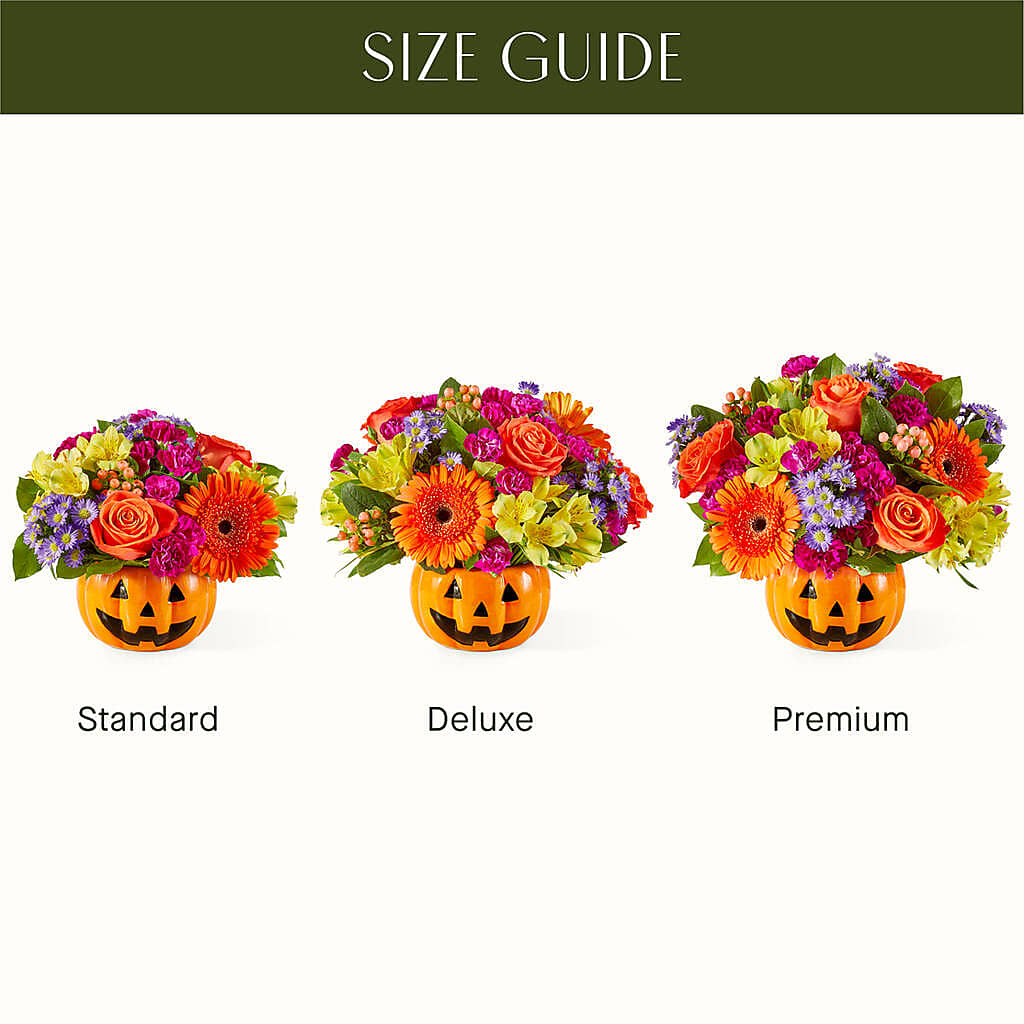 Tricks & Treats Pumpkin –  Garden Of Eden Florist, San Antonio TX