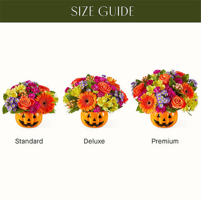 Tricks & Treats Pumpkin –  Garden Of Eden Florist, San Antonio TX