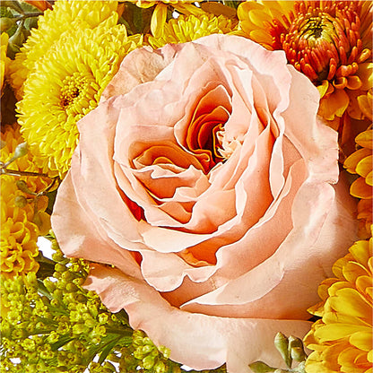 Peachy Pumpkin –  Garden Of Eden Florist, San Antonio TX