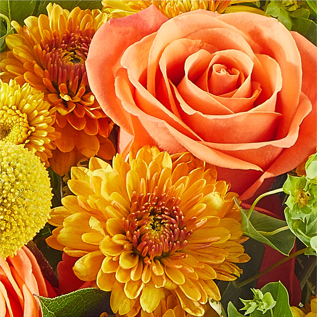 Gourdgeous Pumpkin –  Garden Of Eden Florist, San Antonio TX