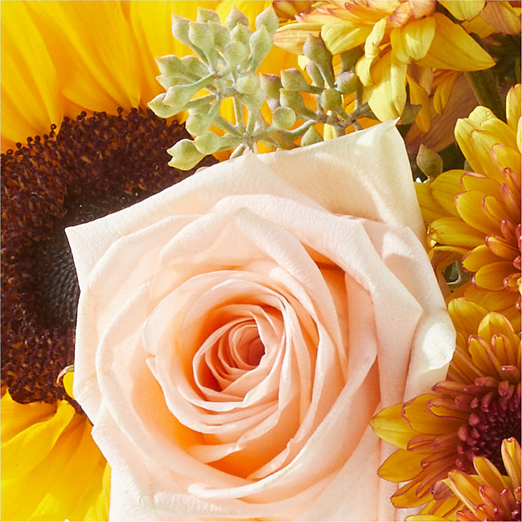 Pumpkin to Talk About Bouquet –  Garden Of Eden Florist, San Antonio TX