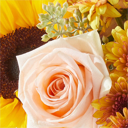 Pumpkin to Talk About Bouquet –  Garden Of Eden Florist, San Antonio TX