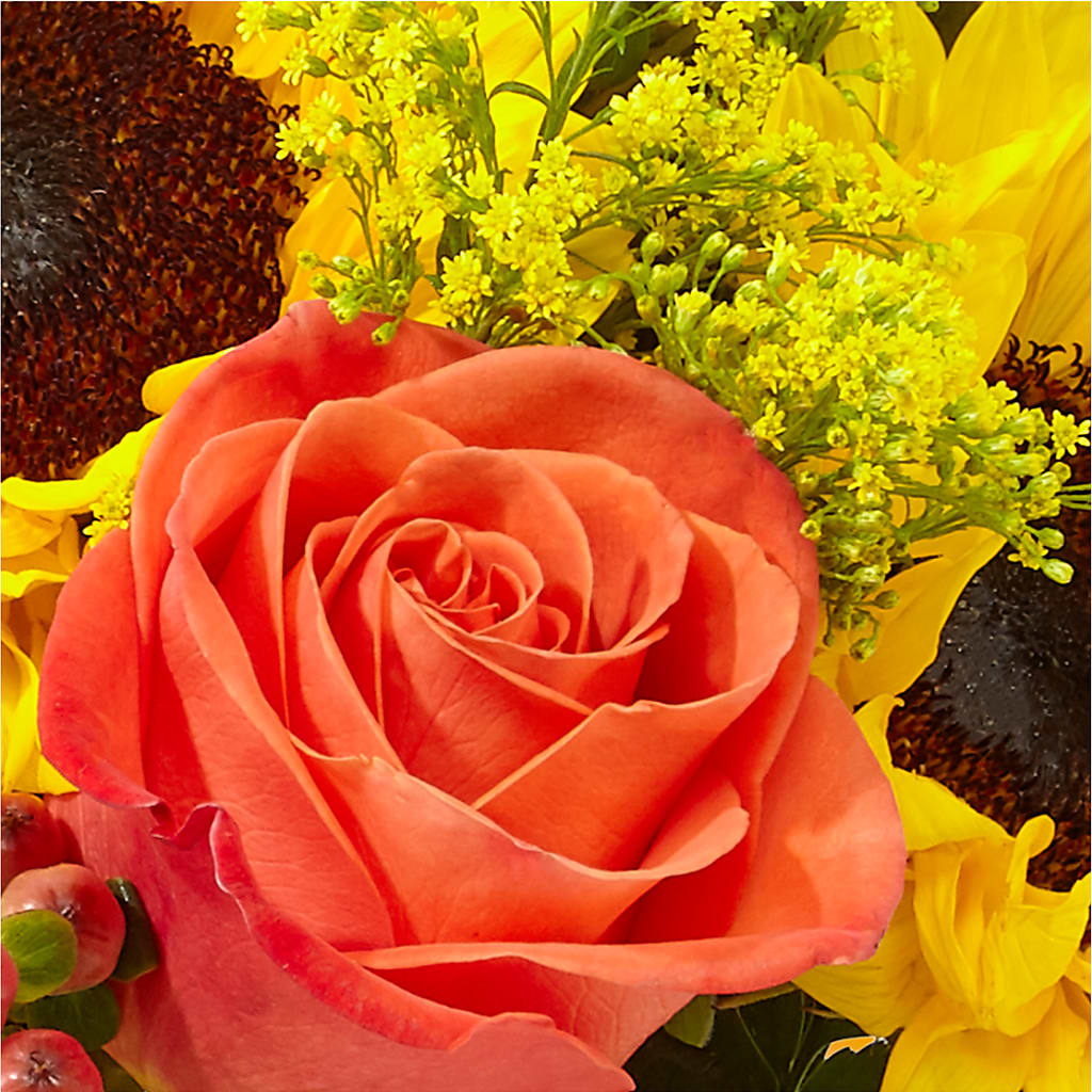 Pick of the Patch Pumpkin Bouquet –  Garden Of Eden Florist, San Antonio TX