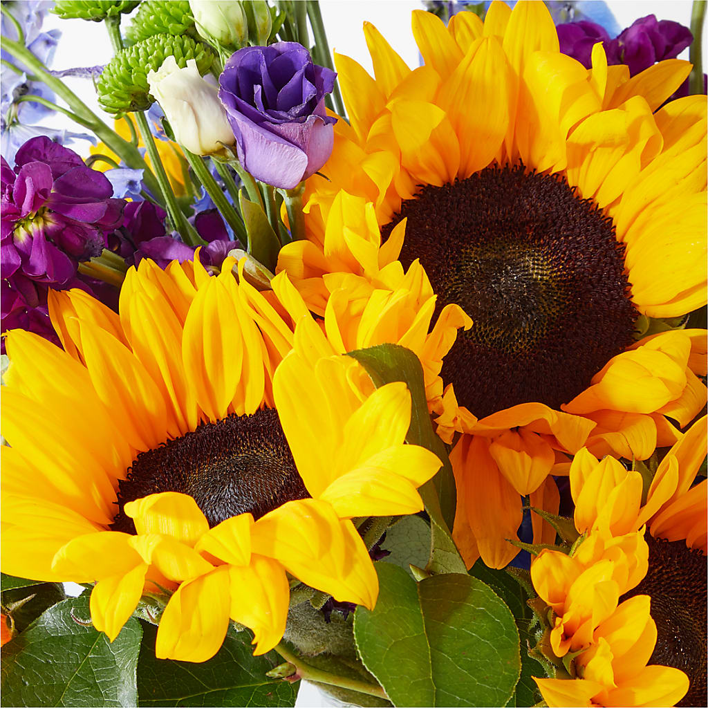 Catching Rays Bouquet –  Garden Of Eden Florist, San Antonio TX