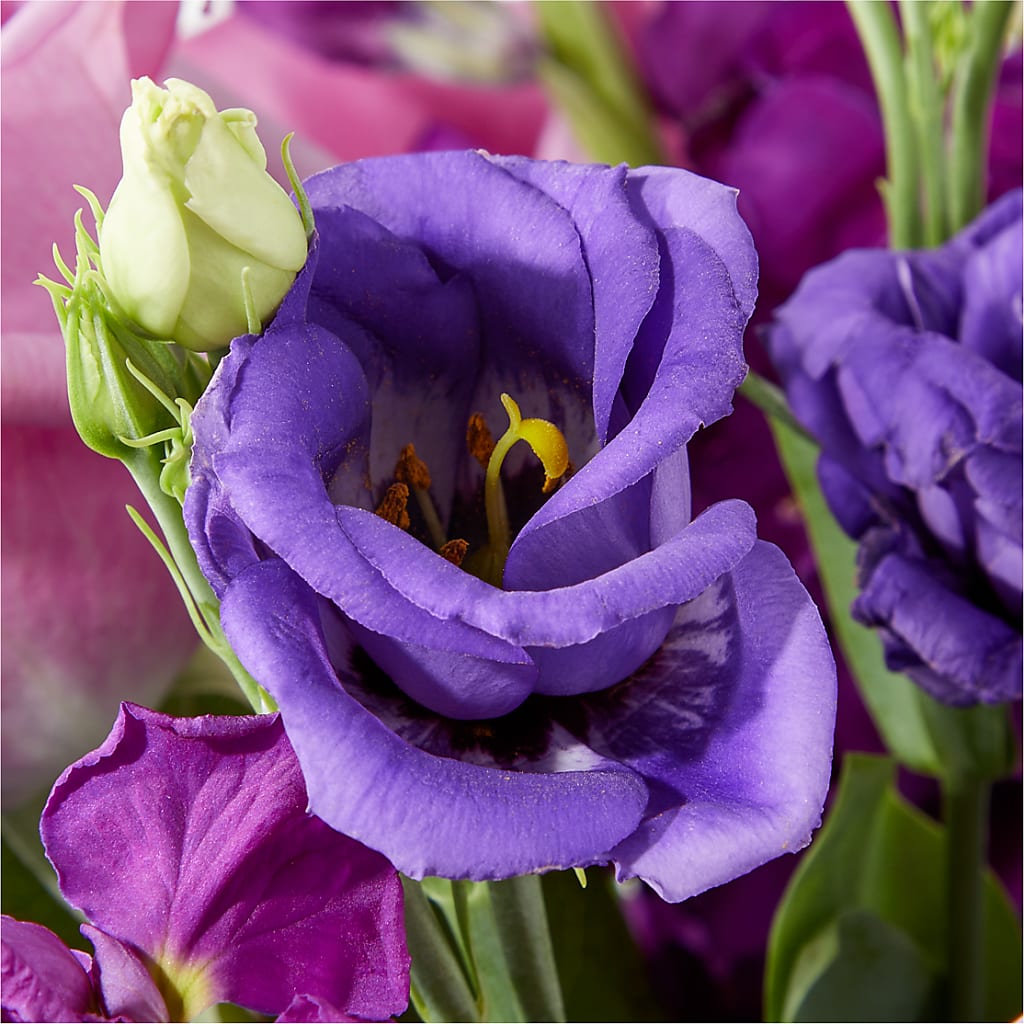 Twilight Glow Bouquet –  Garden Of Eden Florist, San Antonio TX