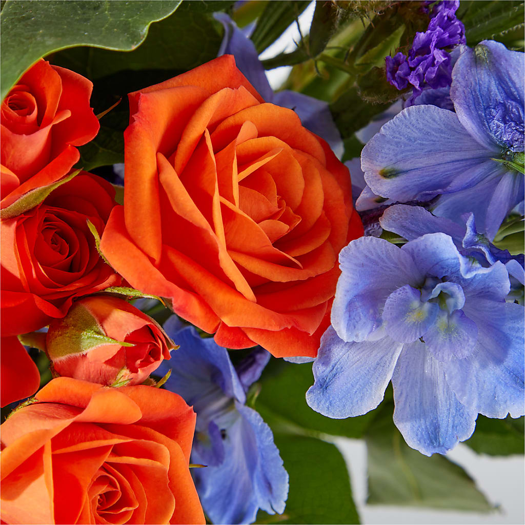 Radiant Citrus Bouquet –  Garden Of Eden Florist, San Antonio TX
