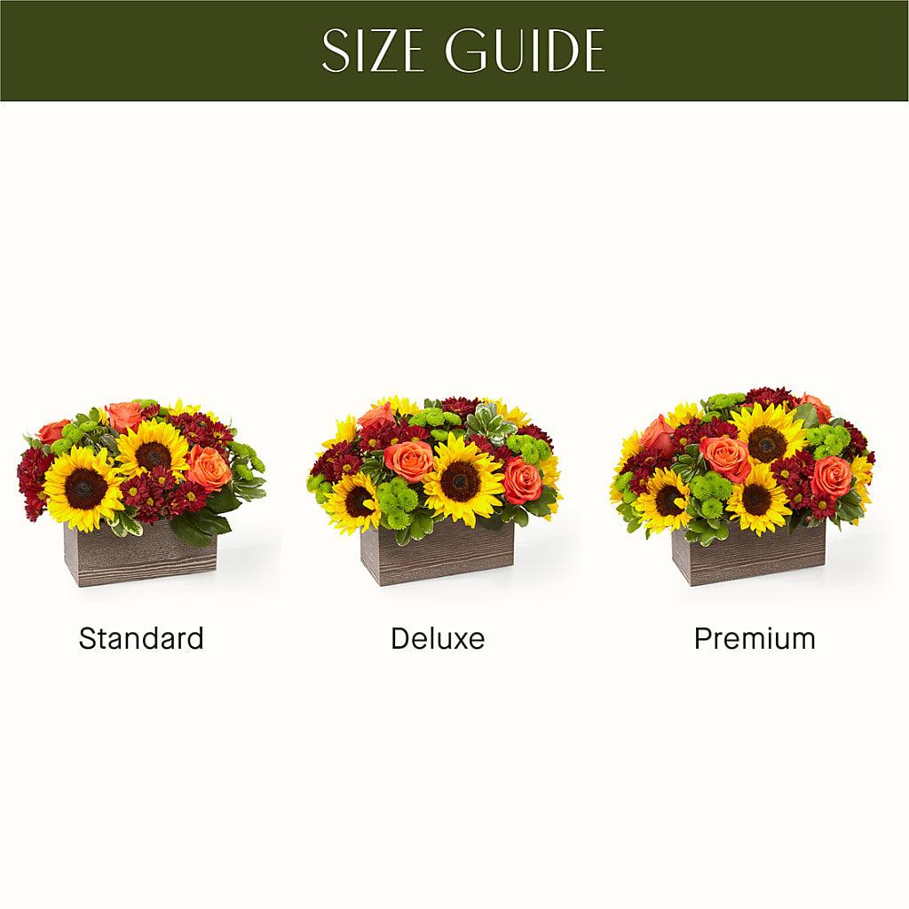 Happy Harvest Garden –  Garden Of Eden Florist, San Antonio TX