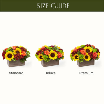 Happy Harvest Garden –  Garden Of Eden Florist, San Antonio TX