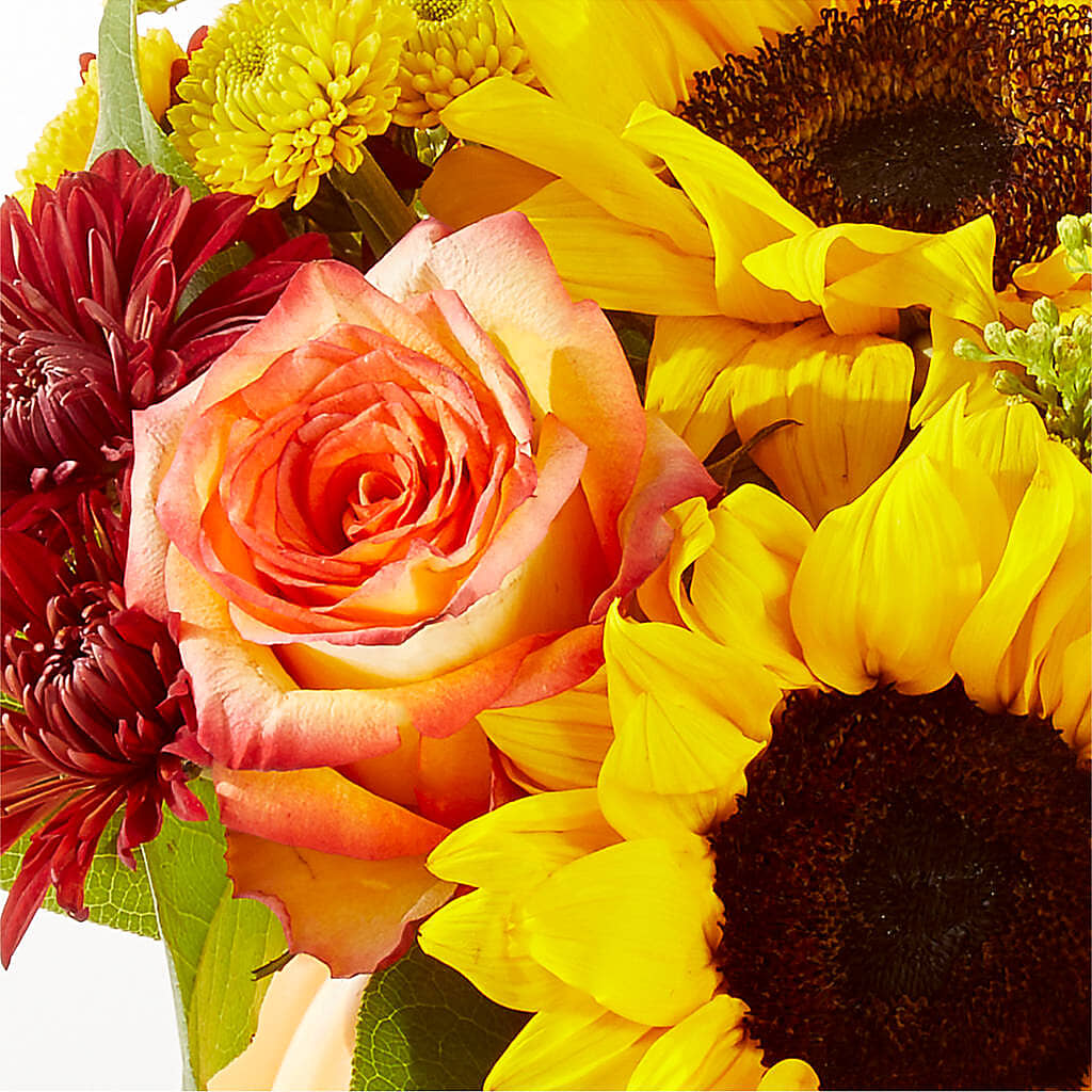 Golden Gourd Pumpkin Bouquet –  Garden Of Eden Florist, San Antonio TX