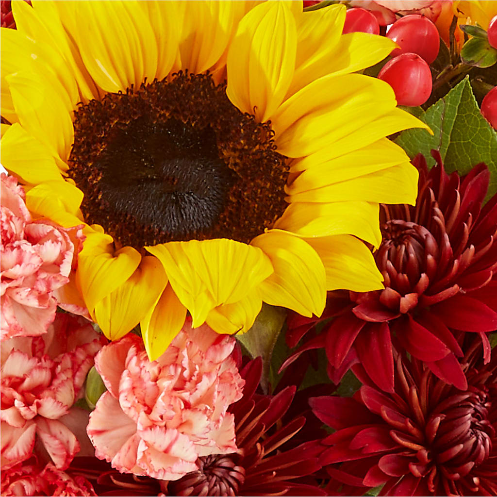 Fresh Cider Bouquet –  Garden Of Eden Florist, San Antonio TX