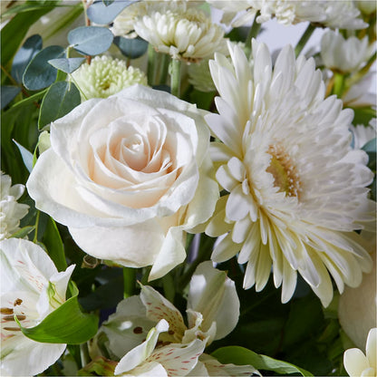 New Beginnings – A Florist Original –  Garden Of Eden Florist, San Antonio TX