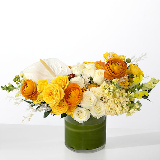 The Optimist –  Garden Of Eden Florist, San Antonio TX